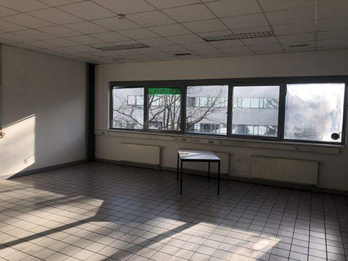 Halle 3.200 m² mit Krahnbahn, Sozialräumen etc. - Bild 14